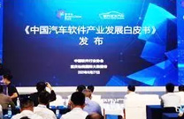 白皮书显示中国汽车软件市场进入快速